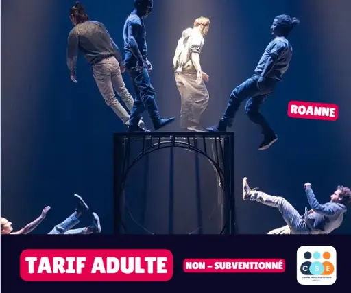 [Roanne] Face aux murs - Tarif ADULTE non subventionné